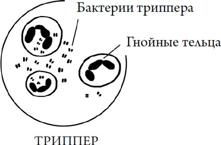Иллюстрация к книге — Человек Противный [i_127.jpg]