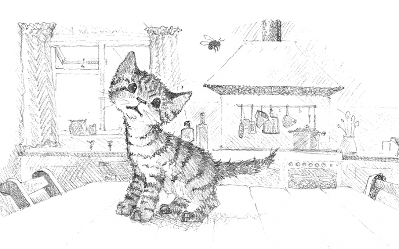 Котёнок Тигр, или Искатель приключений