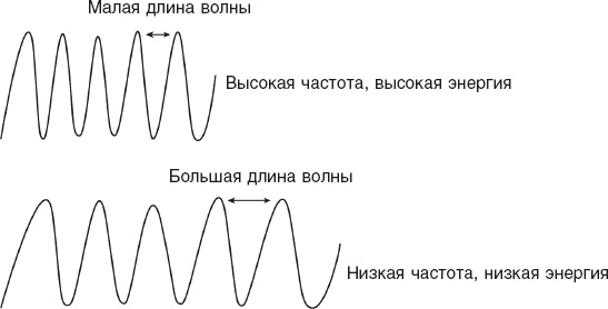 Иллюстрация к книге — Кожа: орган, в котором я живу [i_035.jpg]