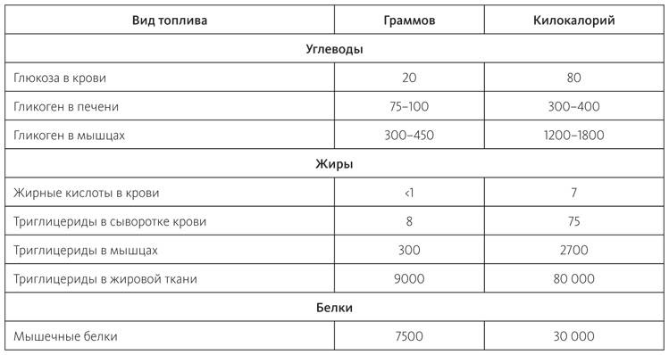 Иллюстрация к книге — Питание в спорте на выносливость. Все, что нужно знать бегуну, пловцу, велосипедисту и триатлету [i_022.jpg]