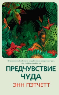 Книга Предчувствие чуда Книга Предчувствие чуда