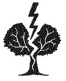 Иллюстрация к книге — Арчи Грин и Дом летающих книг [i_001.jpg]
