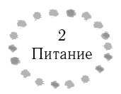 Иллюстрация к книге — Жизнь в стиле соло: как жить одному и наслаждаться этим  [i_009.jpg]