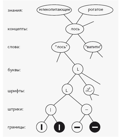Иллюстрация к книге — Как работает мозг [img_18.jpg]