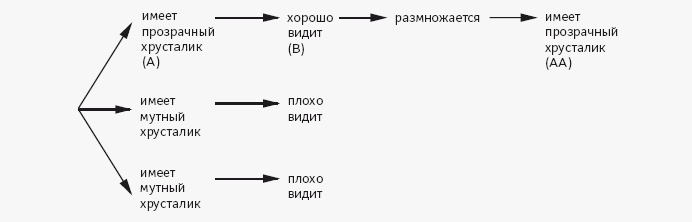 Иллюстрация к книге — Как работает мозг [img_32.jpg]