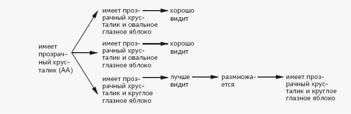 Иллюстрация к книге — Как работает мозг [img_33.jpg]
