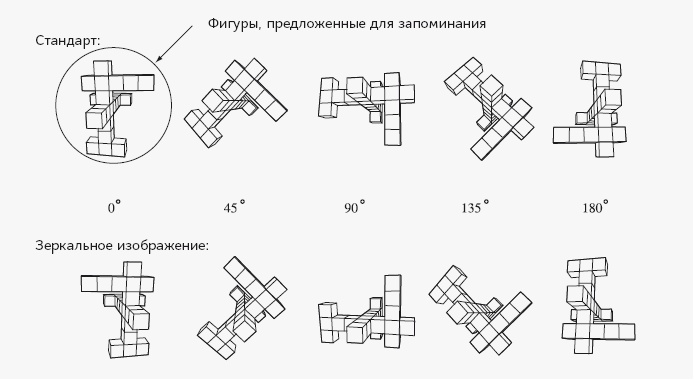 Иллюстрация к книге — Как работает мозг [img_75.jpg]