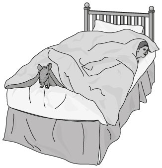 Иллюстрация к книге — Новый физический фейерверк [i_100.jpg]