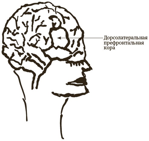Иллюстрация к книге — Быть собой [i_002.jpg]