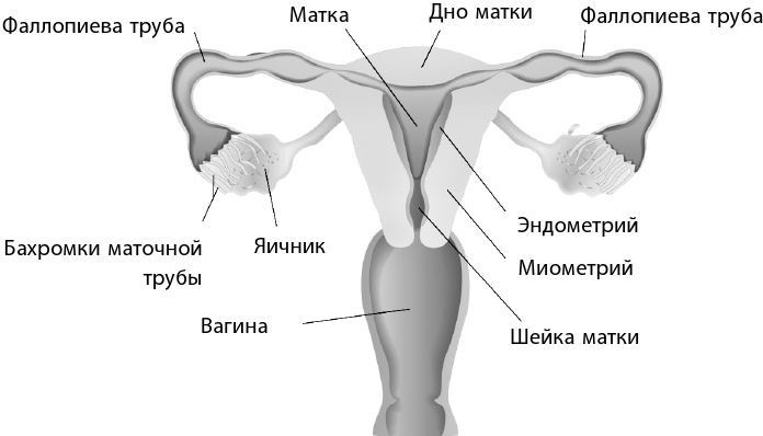 Иллюстрация к книге — Взламывая биологию [i_051.jpg]