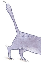 Иллюстрация к книге — А кота спросить забыли? [i_026.jpg]