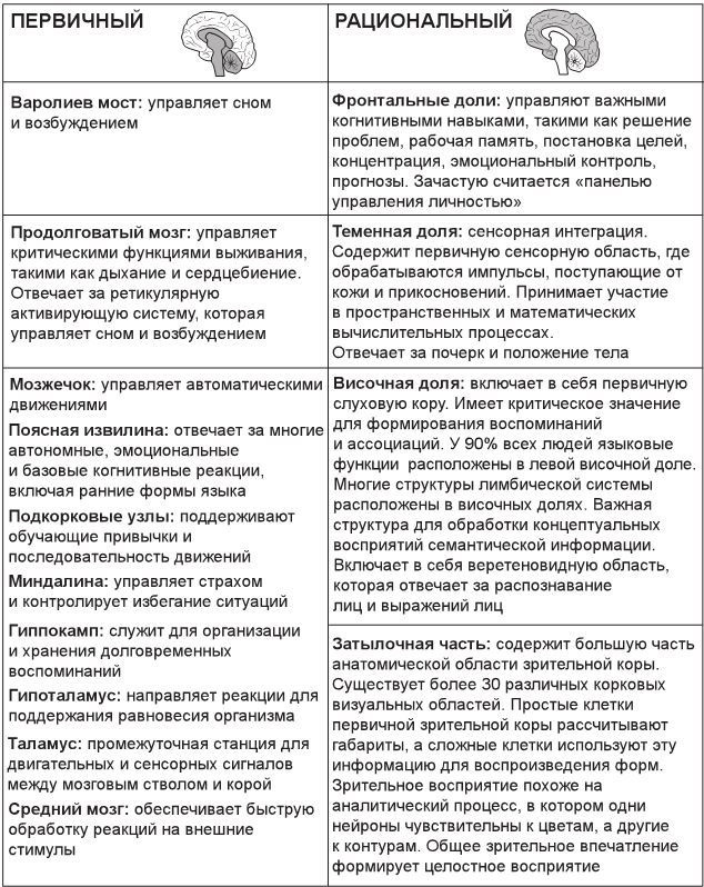 Иллюстрация к книге — Код убеждения. Как нейромаркетинг повышает продажи, эффективность рекламных кампаний и конверсию сайта [i_014.jpg]