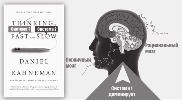 Иллюстрация к книге — Код убеждения. Как нейромаркетинг повышает продажи, эффективность рекламных кампаний и конверсию сайта [i_016.jpg]