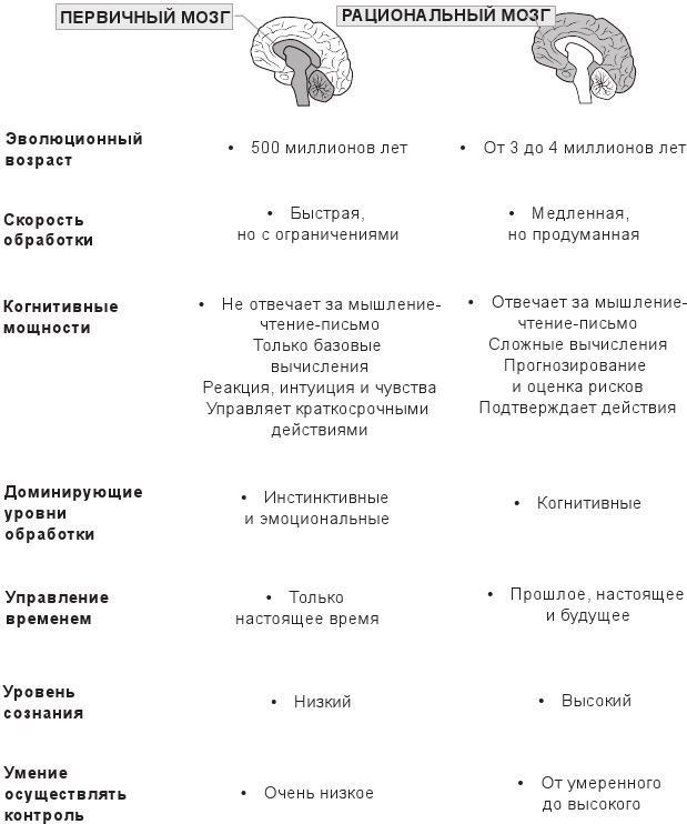 Иллюстрация к книге — Код убеждения. Как нейромаркетинг повышает продажи, эффективность рекламных кампаний и конверсию сайта [i_017.jpg]