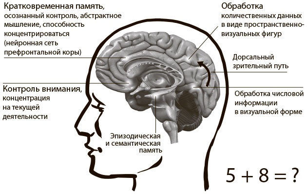 Иллюстрация к книге — Безграничный разум [i_010.jpg]