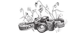 Иллюстрация к книге — Слушай птиц [i_016.jpg]