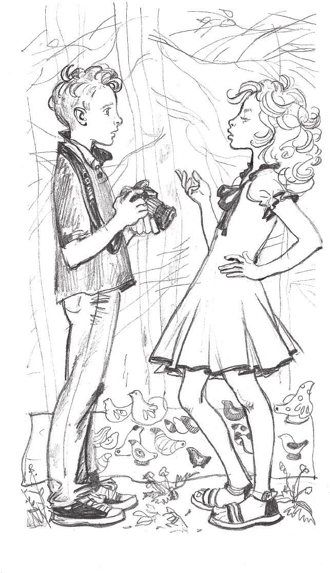 Иллюстрация к книге — Слушай птиц [i_027.jpg]