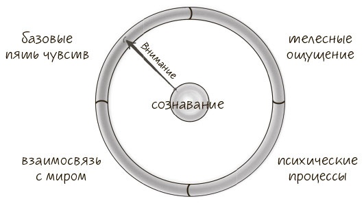 Иллюстрация к книге — Сознавание [i_002.jpg]