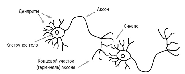 Иллюстрация к книге — Зачем мы говорим [i_027.jpg]