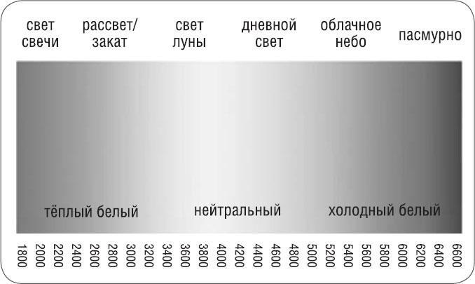 Иллюстрация к книге — Как победить бессонницу? Здоровый сон за 6 недель [i_049.jpg]