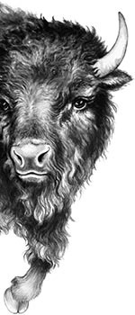 Иллюстрация к книге — День огня [i_063.jpg]