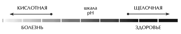 Иллюстрация к книге — Звук безмолвия [i_009.jpg]