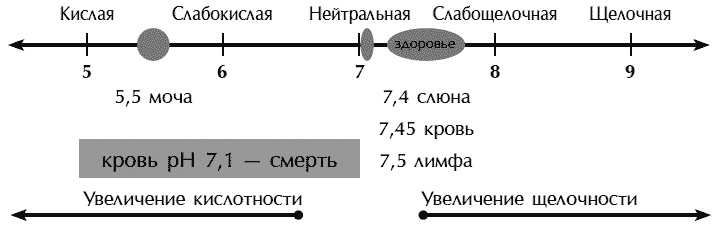 Иллюстрация к книге — Звук безмолвия [i_019.jpg]