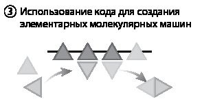 Иллюстрация к книге — Эволюция. От Дарвина до современных теорий [i_008.jpg]
