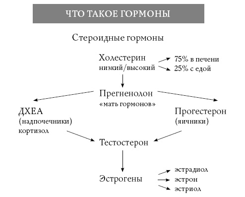 Иллюстрация к книге — Обнаженные гормоны [i_002.jpg]