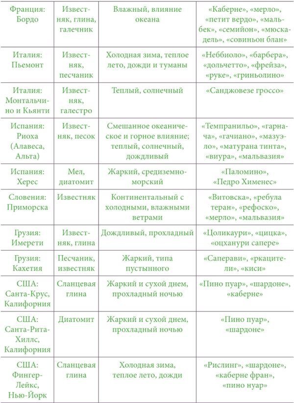 Почва и вино. Путешествие по вкусам и ароматам