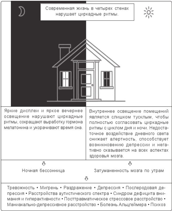 Иллюстрация к книге — Циркадный код. Как настроить свои биологические часы на здоровую жизнь [i_003.jpg]