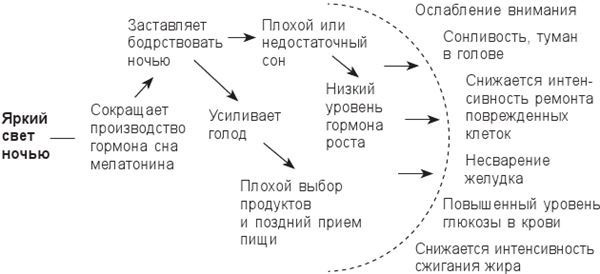 Иллюстрация к книге — Циркадный код. Как настроить свои биологические часы на здоровую жизнь [i_013.jpg]