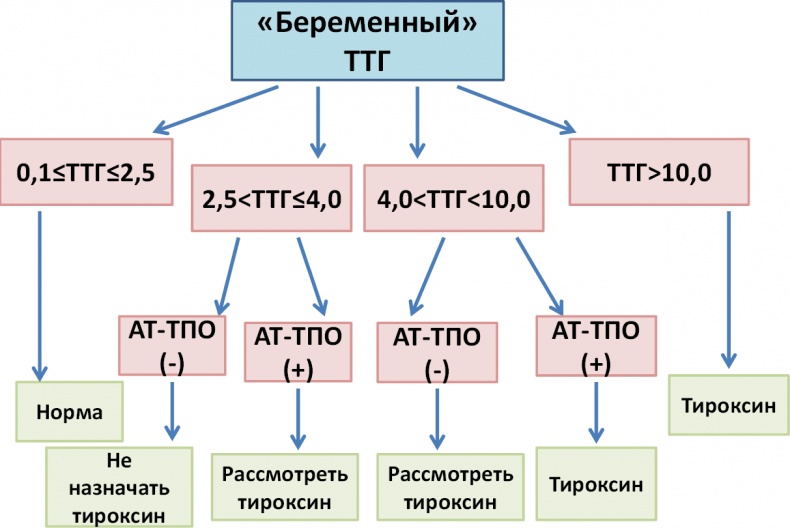 Иллюстрация к книге — ГОРМОНичное тело [i_001.jpg]