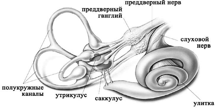 Иллюстрация к книге — Головокружение [i_001.jpg]
