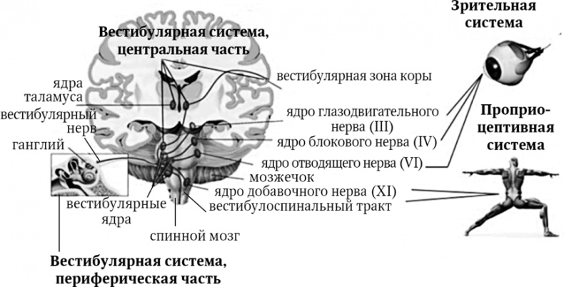 Иллюстрация к книге — Головокружение [i_002.jpg]