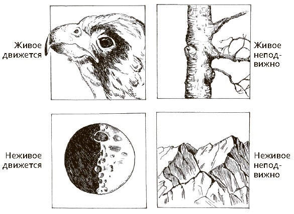 Иллюстрация к книге — Сбитые с толку [i_035.jpg]