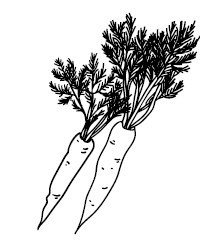 Иллюстрация к книге — Что и когда есть. Как найти золотую середину между голодом и перееданием [i_041.jpg]