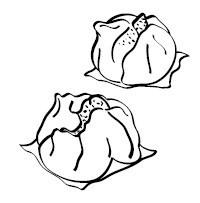 Иллюстрация к книге — Что и когда есть. Как найти золотую середину между голодом и перееданием [i_045.jpg]