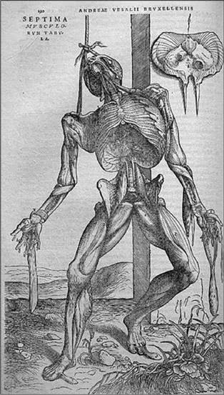 Иллюстрация к книге — Праведный палач [i_042.jpg]