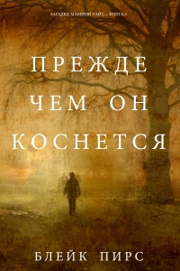 Книга Прежде чем он коснётся Книга Прежде чем он коснётся