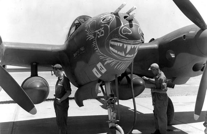 Иллюстрация к книге — Истребитель-«молния» P-38 «Лайтнинг» [i_078.jpg]