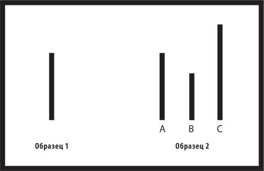 Иллюстрация к книге — Поздний расцвет. Как взрослым добиться успеха в мире, одержимом ранним развитием [i_004.jpg]