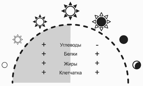 Иллюстрация к книге — Здоровье без фанатизма: 36 часов в сутках [i_005.jpg]