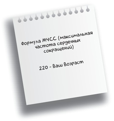 Иллюстрация к книге — Здоровье без фанатизма: 36 часов в сутках [i_015.jpg]