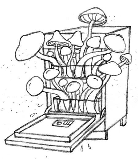 Иллюстрация к книге — Тайная жизнь домашних микробов: все о бактериях, грибках и вирусах [i_002.jpg]