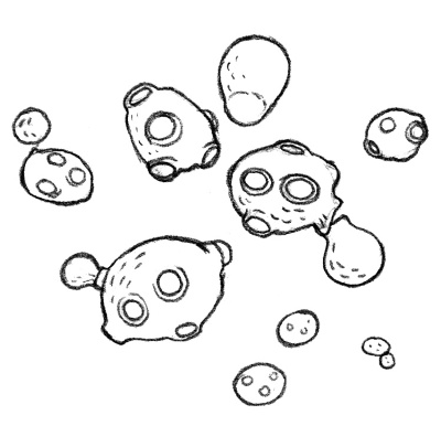 Иллюстрация к книге — Тайная жизнь домашних микробов: все о бактериях, грибках и вирусах [i_011.jpg]