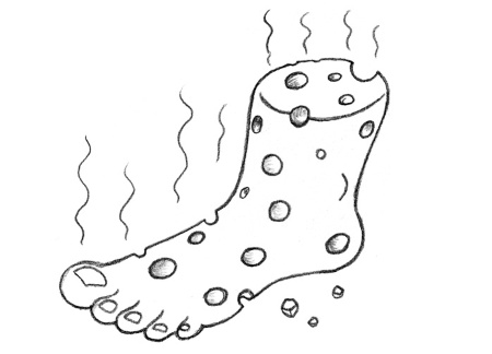 Иллюстрация к книге — Тайная жизнь домашних микробов: все о бактериях, грибках и вирусах [i_013.jpg]