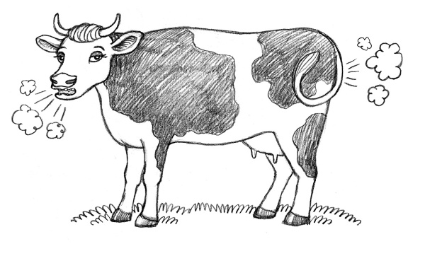 Иллюстрация к книге — Тайная жизнь домашних микробов: все о бактериях, грибках и вирусах [i_016.jpg]