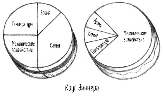 Иллюстрация к книге — Тайная жизнь домашних микробов: все о бактериях, грибках и вирусах [i_055.jpg]