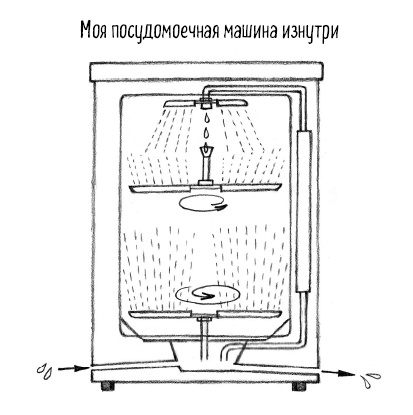 Иллюстрация к книге — Тайная жизнь домашних микробов: все о бактериях, грибках и вирусах [i_091.jpg]